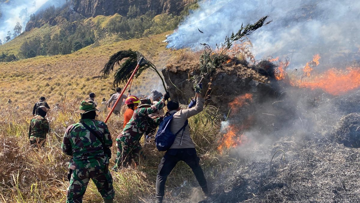 Polres Probolinggo Intensifkan Penanganan Karhutla di Lereng Gunung Bromo, Kapolres Turun Langsung Pimpin Pemadaman