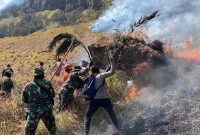 Polres Probolinggo Intensifkan Penanganan Karhutla di Lereng Gunung Bromo, Kapolres Turun Langsung Pimpin Pemadaman