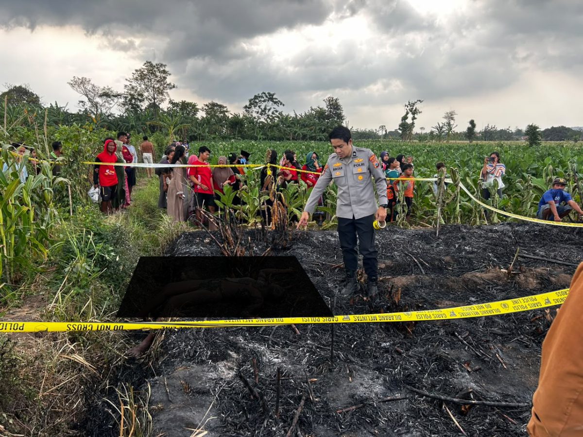 Penemuan Jenazah di Ladang Tebu Liprak Wetan, Polisi Lakukan Penanganan TKP